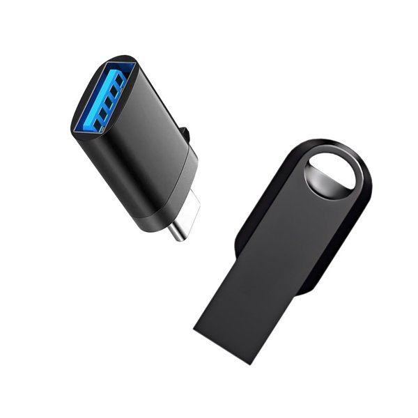 128 GB / 256 GB Metal Sentry USB Drive with Keychain for Tesla