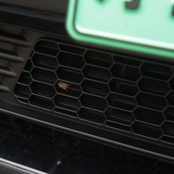 TESVX product image