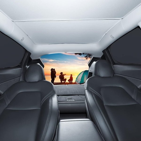 TESVX product image
