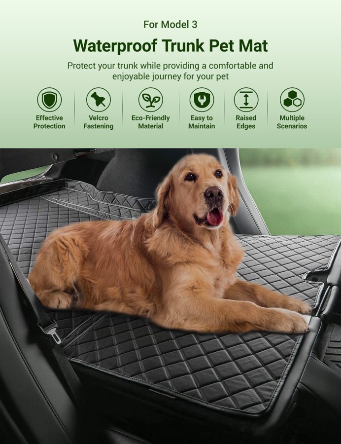 TESVX product image