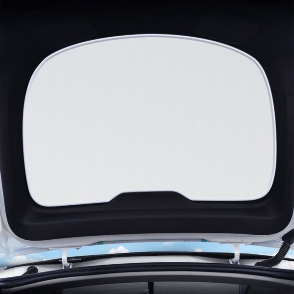 TESVX product image