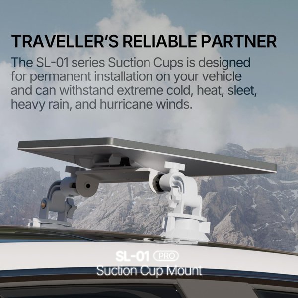 TESVX product image