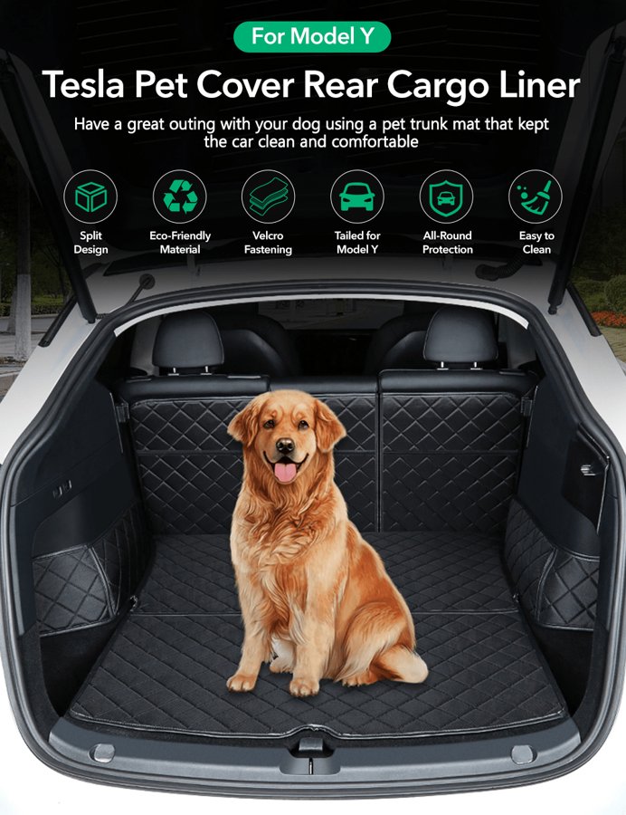 TESVX product image