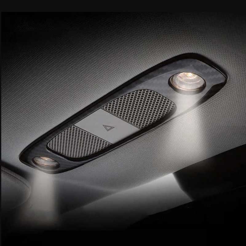 Frame the Existing Lights - TESVX Dome Light Cover