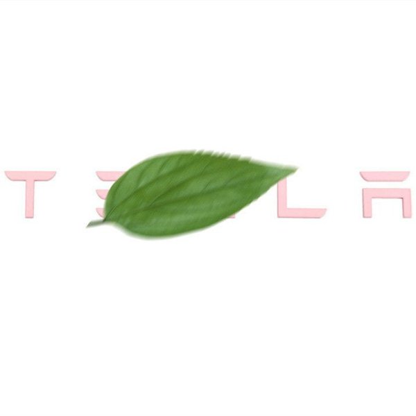TESVX product image