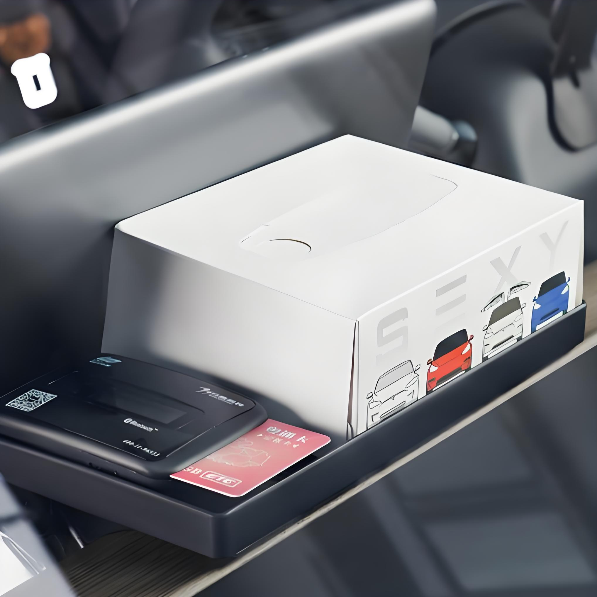 Tray Plus Box - TESVX Under-Screen Storage Organizer